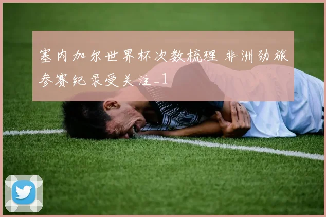 塞内加尔世界杯次数梳理 非洲劲旅参赛纪录受关注_1