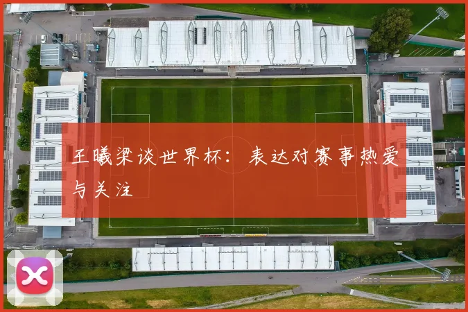 王曦梁谈世界杯：表达对赛事热爱与关注